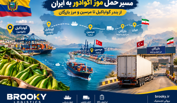 مسیر حمل موز اکوادور به ایران | از بندر گوایاکیل تا مرسین و مرز بازرگان