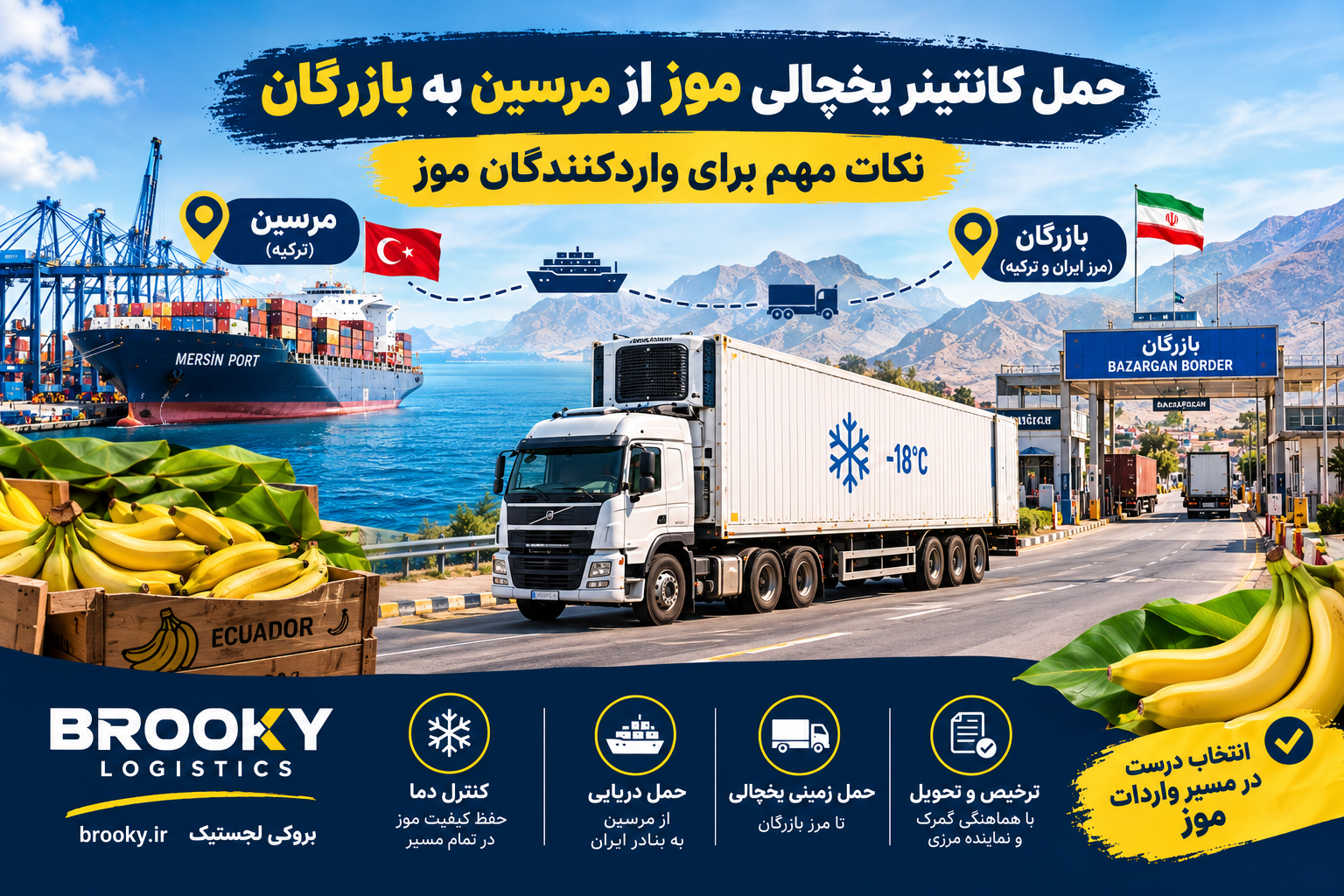 حمل کانتینر یخچالی موز از مرسین به بازرگان | نکات مهم برای واردکنندگان موز