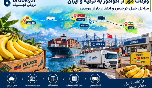 واردات موز از اکوادور به ترکیه و ایران | مراحل حمل، ترخیص و انتقال بار از مرسین