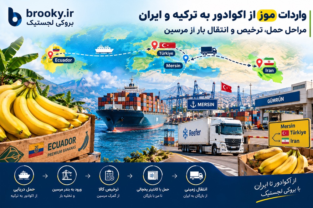 واردات موز از اکوادور به ترکیه و ایران | مراحل حمل، ترخیص و انتقال بار از مرسین