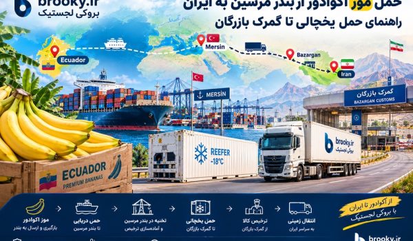 حمل موز اکوادور از بندر مرسین به ایران | راهنمای حمل یخچالی تا گمرک بازرگان