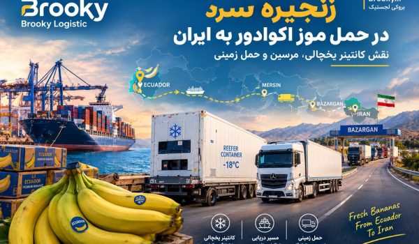 زنجیره سرد در حمل موز اکوادور به ایران | نقش کانتینر یخچالی، مرسین و حمل زمینی