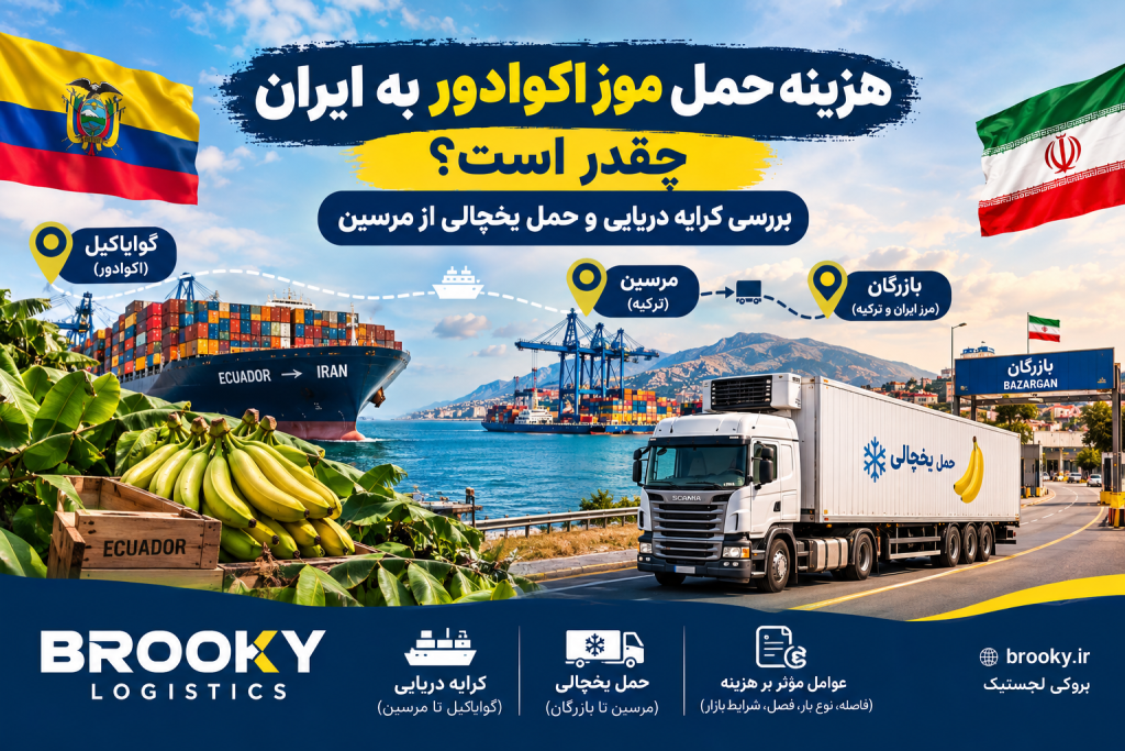 هزینه حمل موز اکوادور به ایران چقدر است؟ | بررسی کرایه دریایی و حمل یخچالی از مرسین
