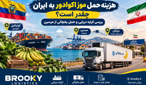 هزینه حمل موز اکوادور به ایران چقدر است؟ | بررسی کرایه دریایی و حمل یخچالی از مرسین